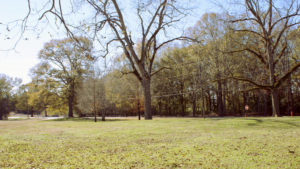 Outdoor Wedding Photo Location