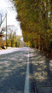 Outdoor Location for Pictures